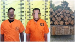 Polsek Ngunut Mengamankan Diduga 2 Pelaku Penebangan Kayu Dihutan