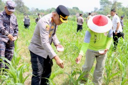 Polresta Banyuwangi Gelorakan Swasembada Pangan Sukseskan Asta Cital