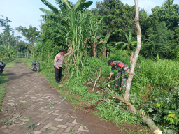 Bhabinkamtibmas dan Babinsa Desa Begendeng Kec Jatikalen, Kompak Kerja Bakti Bersama Warga