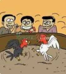 Diduga Sabung Ayam Marak Lagi di Sokobenah Daya, Warga Resah Menanti Tindakan Polisi