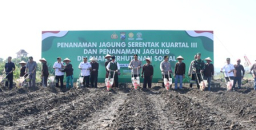 Kapolda Jatim Pimpin Penanaman Jagung Serentak di Nganjuk, Dukung Target Nasional 10 Juta Ton