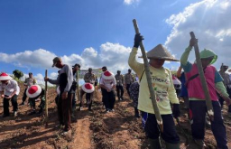 Dukung Asta Cita Presiden Prabowo, Polresta Banyuwangi Tanam Jagung Serentak Kuartal III di Lahan PTPN