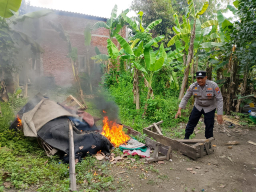 Respon Cepat Pengaduan Masyarakat Polisi Bongkar Arena Sabung Ayam di Sidoarjo