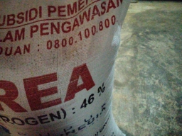 Petani Plampaan Sampang Tuntut Pemerintah Turun ke Lapangan, Kuota Pupuk Subsidi Diduga Tak Transparan