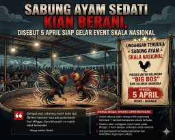 Arena Judi Sabung Ayam di Sedati Sidoarjo Ramai Pengunjung, Aparat Diminta Tindak