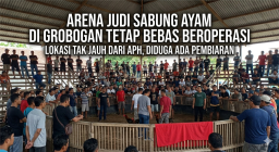 "Viral! Arena Judi Sabung Ayam di Grobogan Bebas Beroperasi Dekat Kantor Polisi, APH Diduga Tutup Mata"