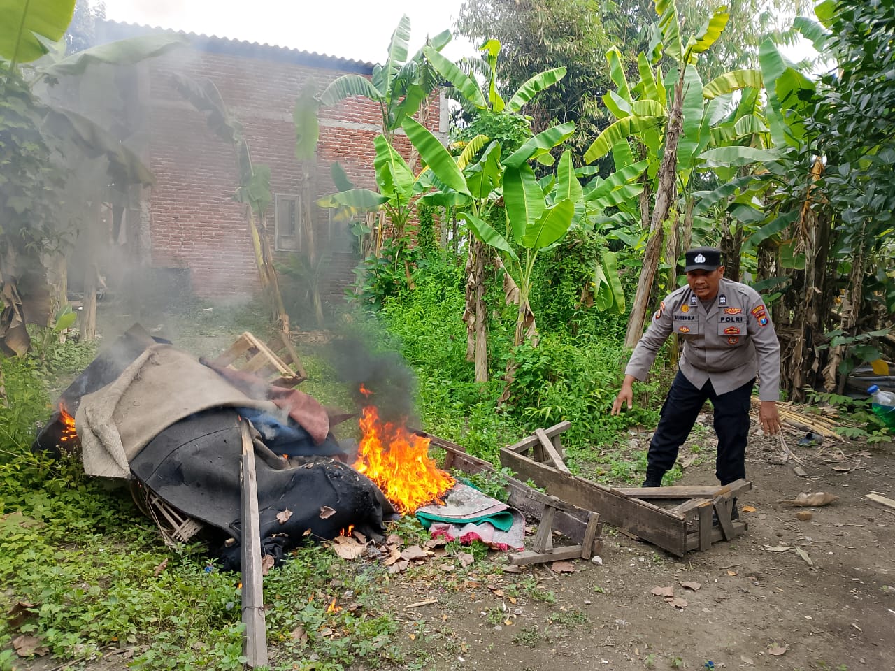 Respon Cepat Pengaduan Masyarakat Polisi Bongkar Arena Sabung Ayam di Sidoarjo